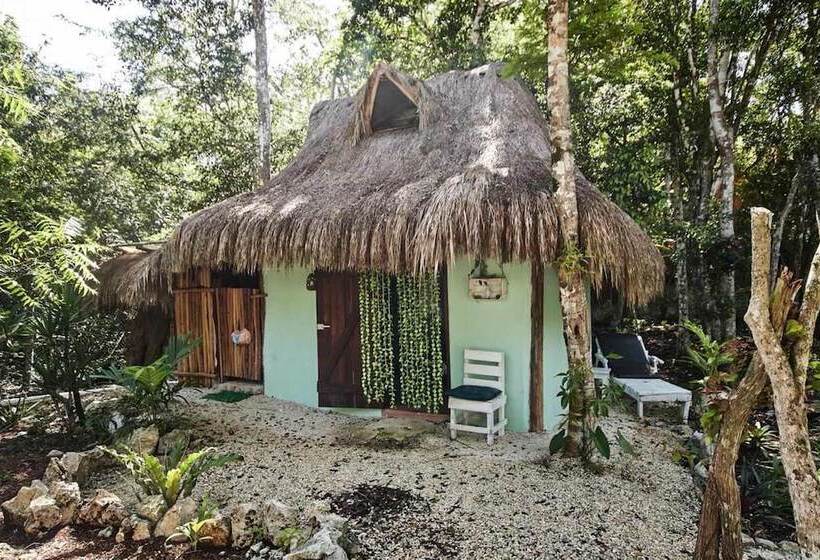 فندق Corazón De Selva