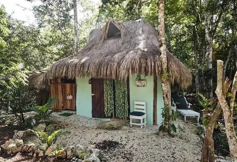 Hotelli Corazón De Selva