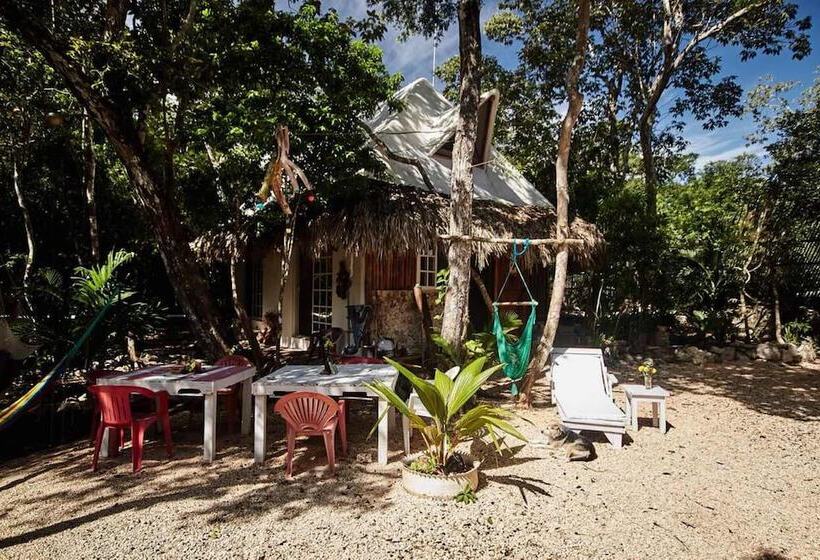 فندق Corazón De Selva