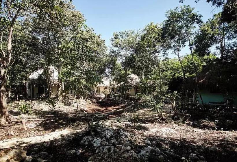 Hotelli Corazón De Selva