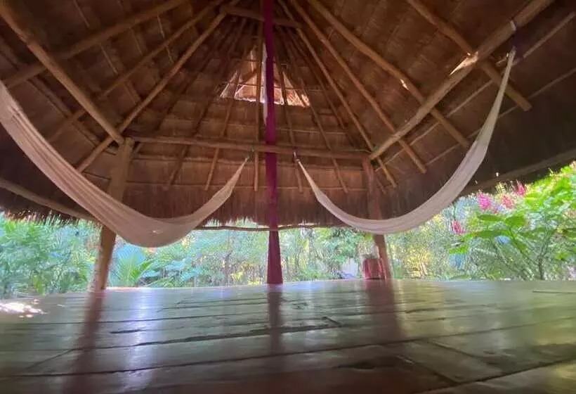 Hotelli Corazón De Selva