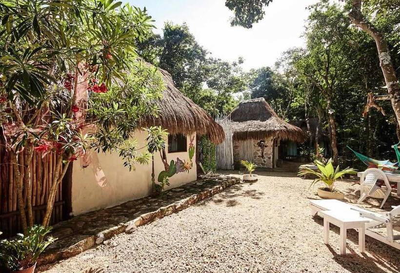 فندق Corazón De Selva