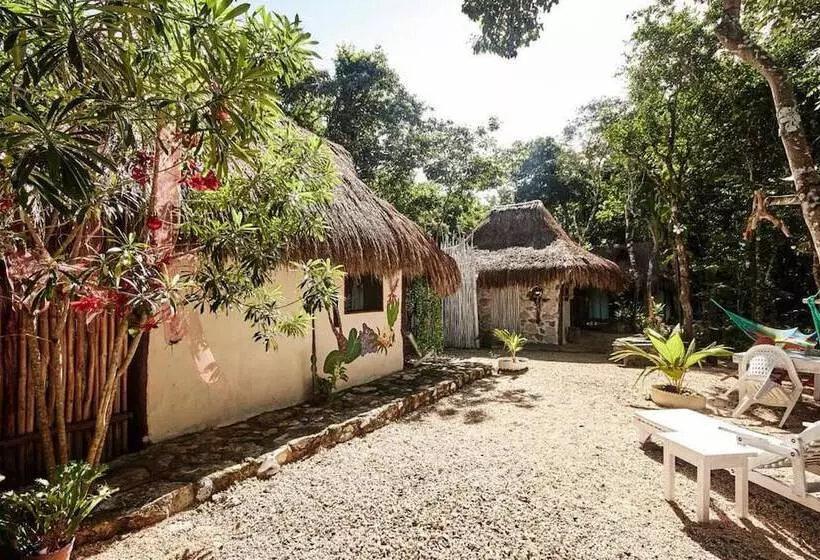 Hotelli Corazón De Selva