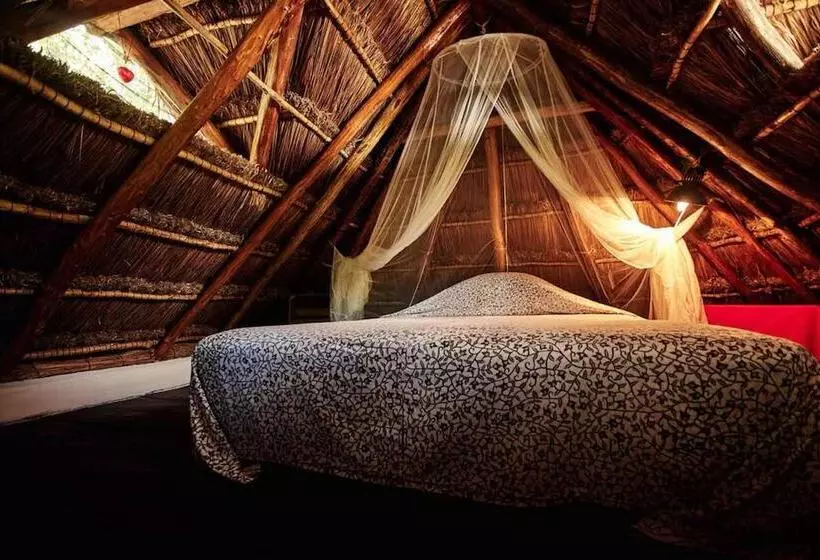 Hotelli Corazón De Selva