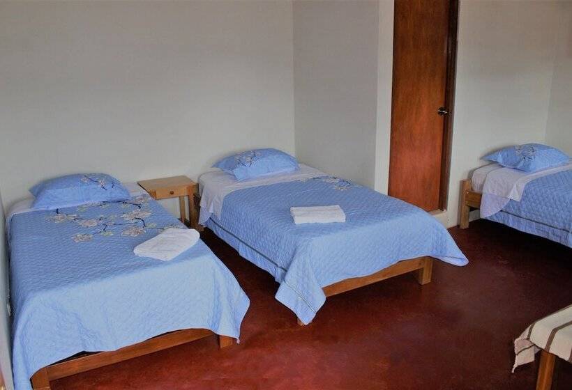 هتل Healthy Stay Gocta