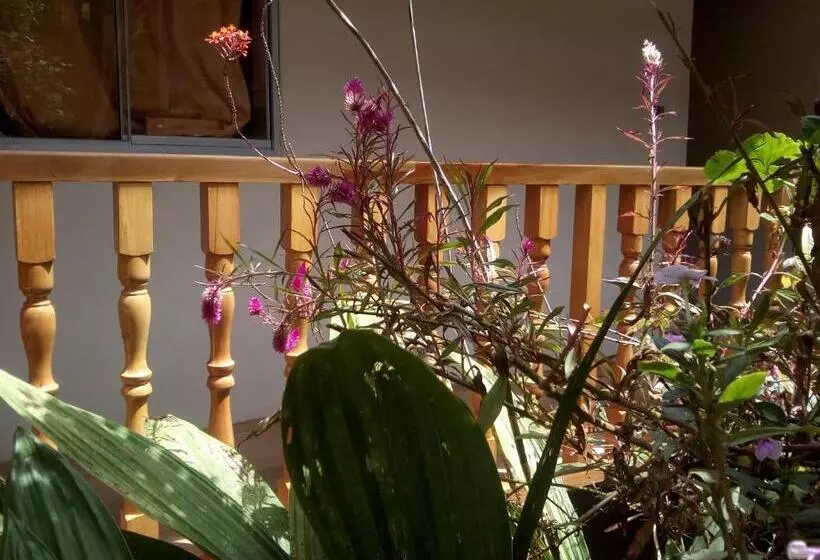 Hotelli Healthy Stay Gocta