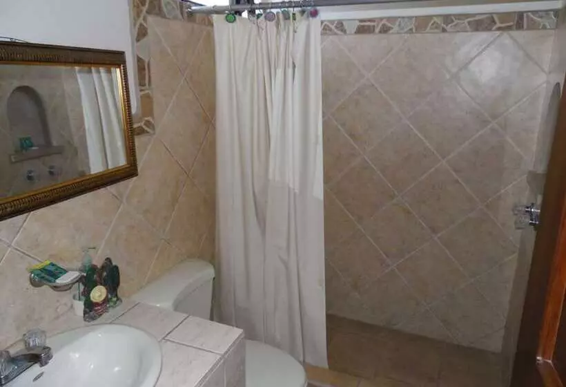 هتل La Cupula