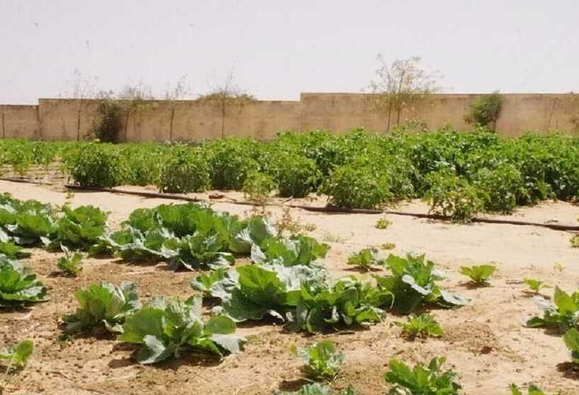 هتل Residence Coumba Andal