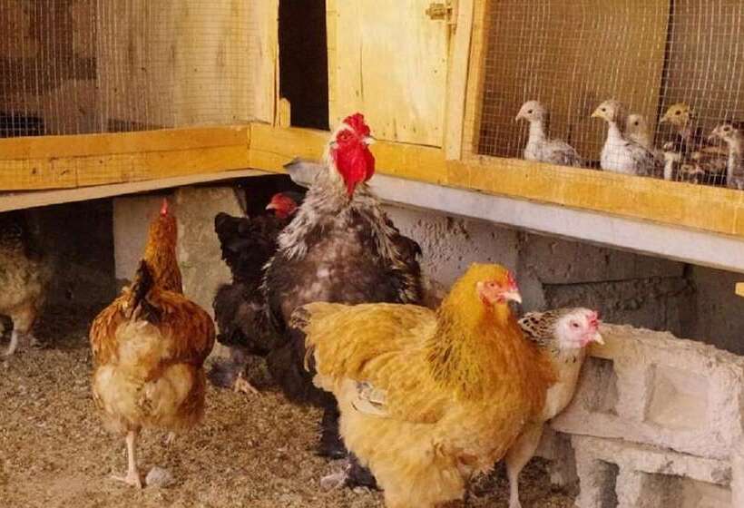 هتل Residence Coumba Andal