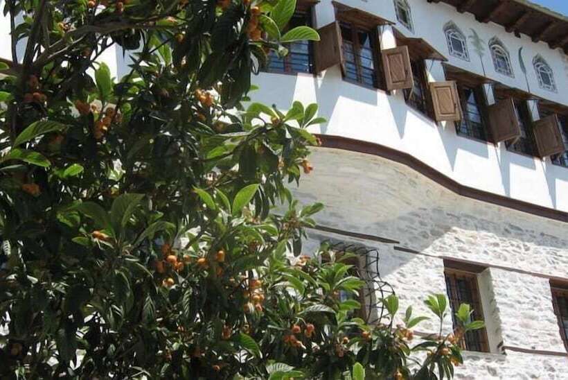 ホテル Ta Xelidonakia