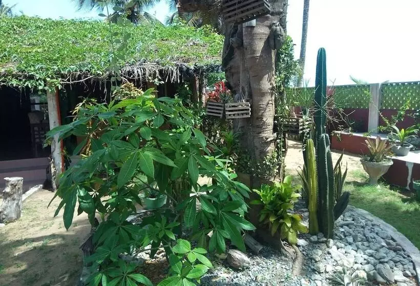 پانسیون Casa Afrika