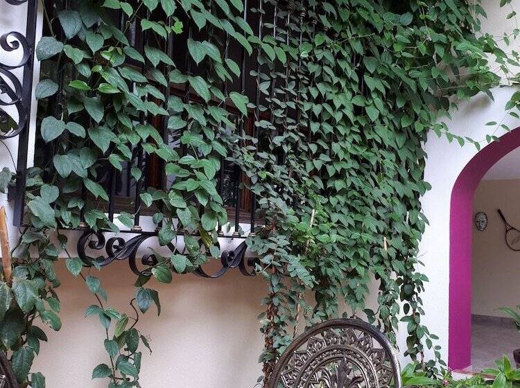 Пансион Casa De Ambrose