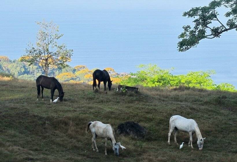 펜션 Casa Nautika Guest House