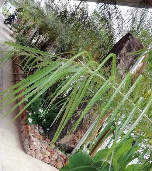 بنسيون Las Catalinas Hotel Plaza Numero 1