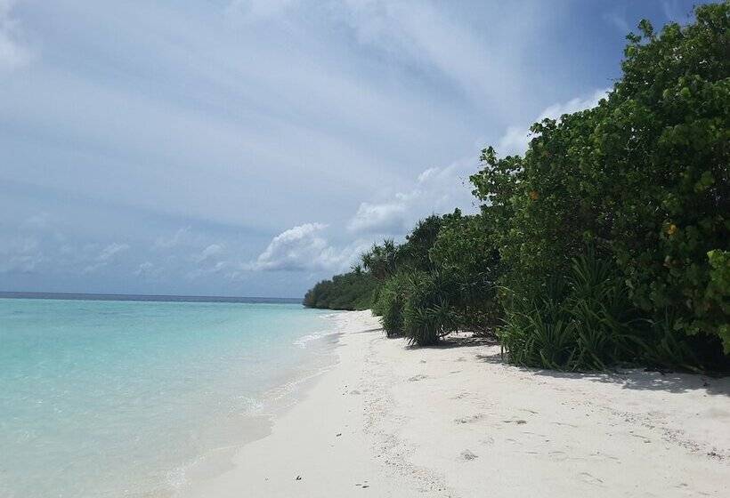 پانسیون Magic Life Guest House