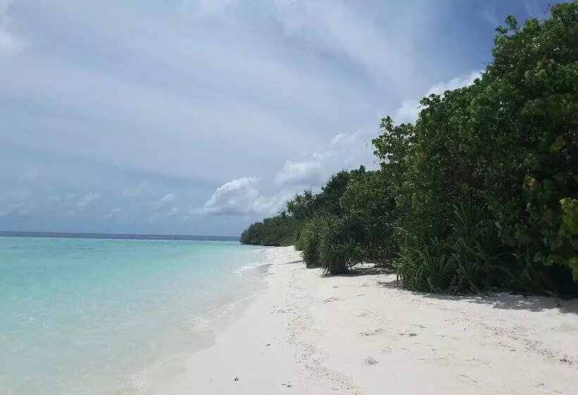 پانسیون Magic Life Guest House