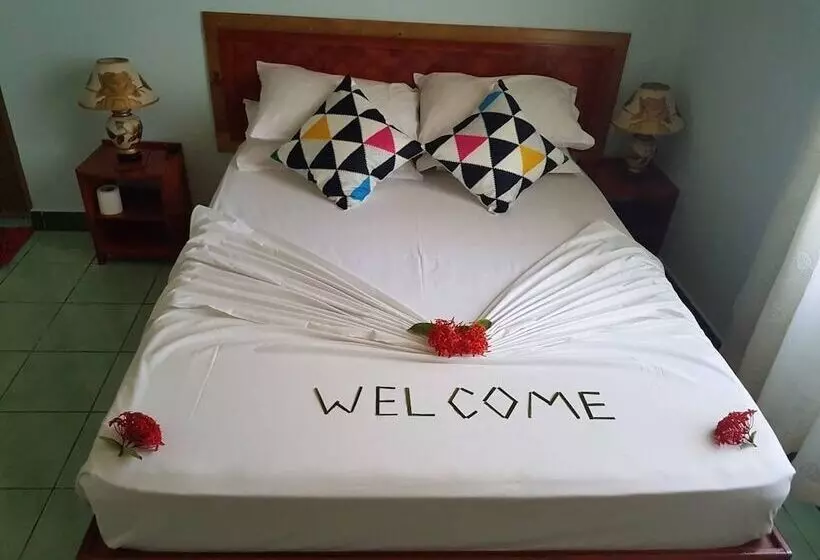 پانسیون Magic Life Guest House