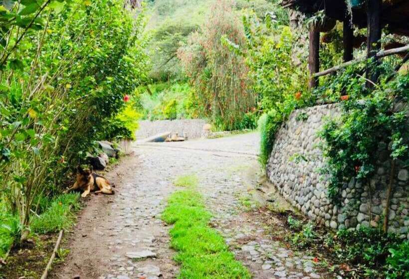 Bed and Breakfast Villa Juliana