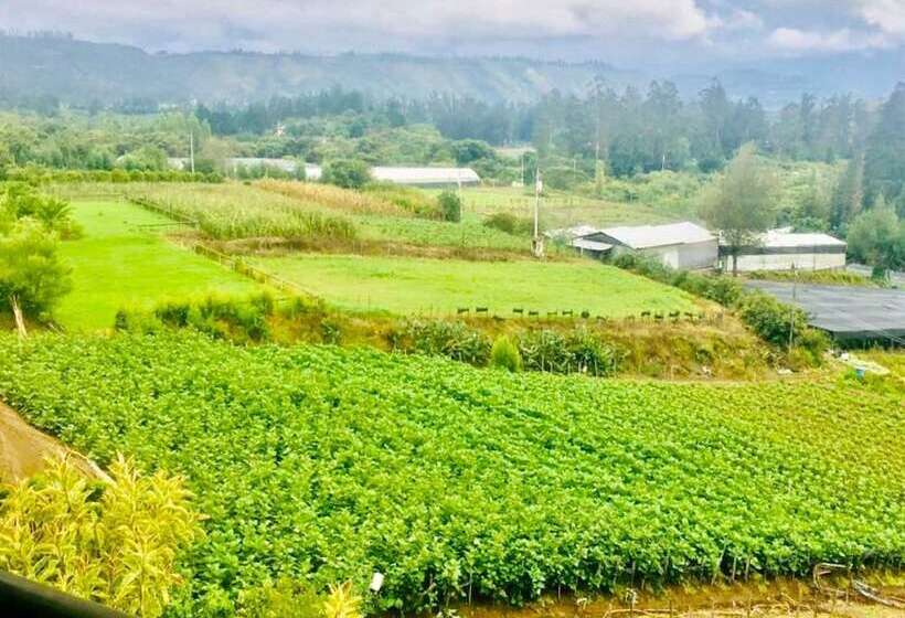 Bed and Breakfast Villa Juliana