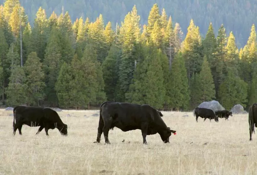 Hostelli The Village At Highlands Ranch