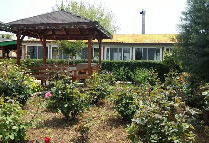 ホテル Altinkum Tatil Koyu