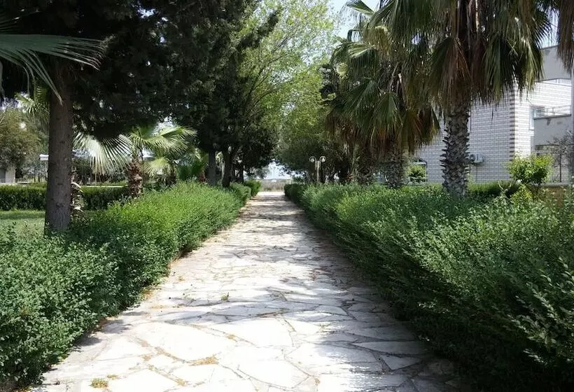 ホテル Altinkum Tatil Koyu