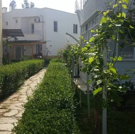 ホテル Altinkum Tatil Koyu