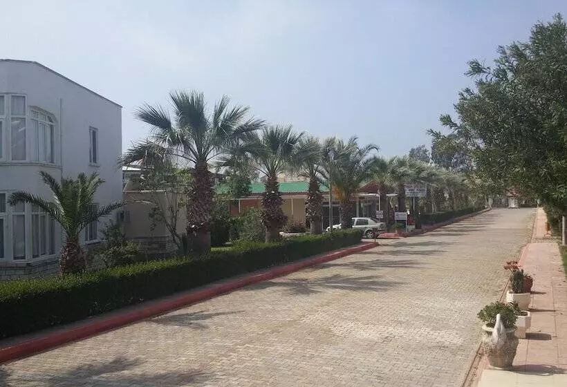 ホテル Altinkum Tatil Koyu