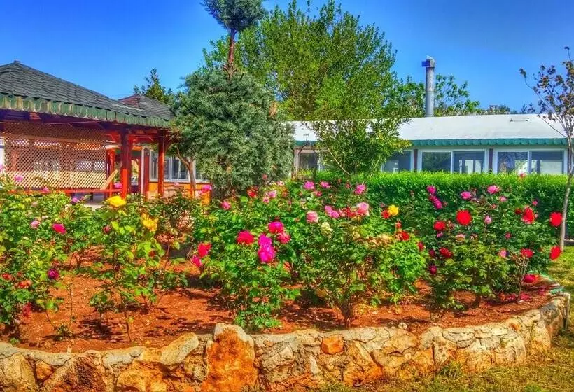 ホテル Altinkum Tatil Koyu