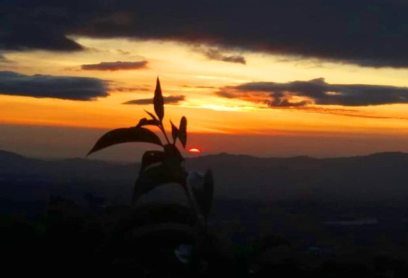 בית מלון כפרי Cypresal