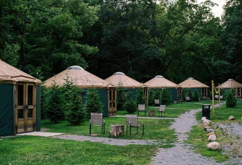 בית מלון כפרי Plum Point Lodge