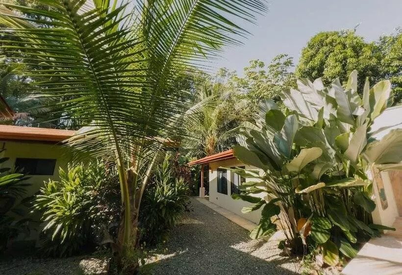 Hotelli Tropical Beach