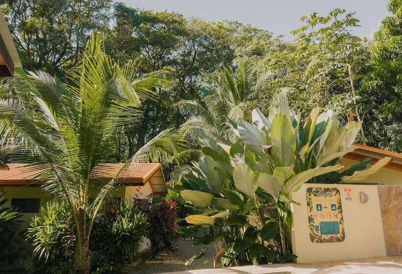 호텔 Tropical Beach