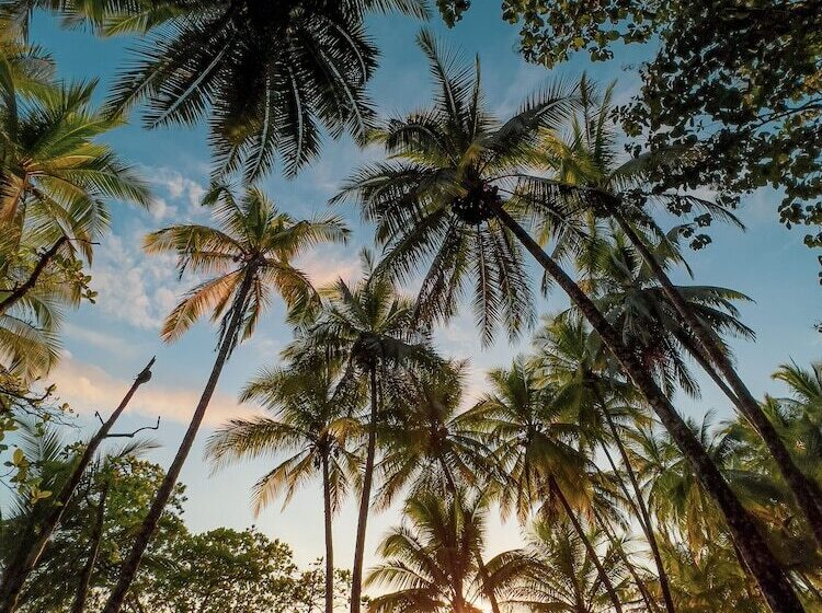 호텔 Tropical Beach