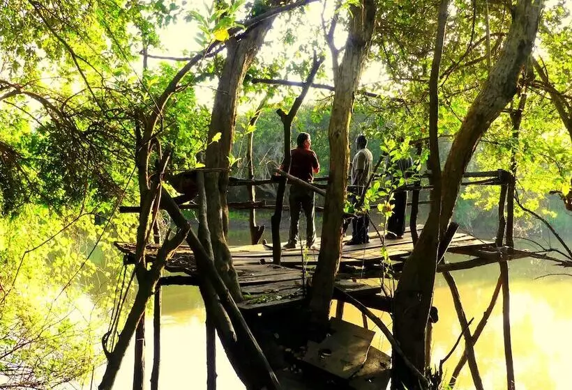 ホテル Wami River Bush Retreat   Kisampa