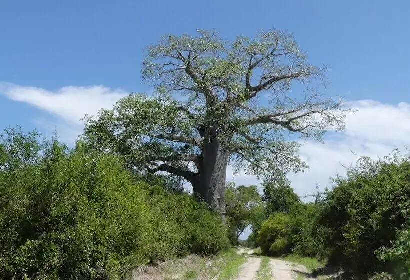 ホテル Wami River Bush Retreat   Kisampa