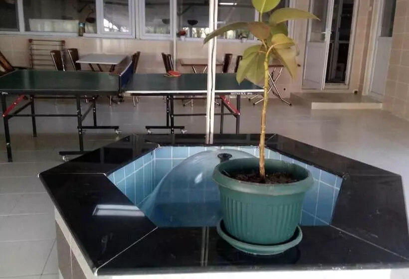 ホテル Yılmaz Pansiyon