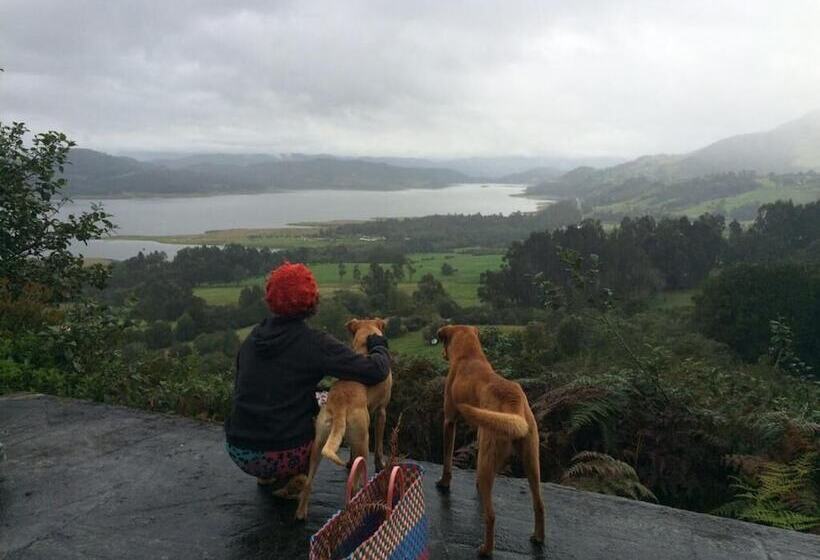 Bed & Breakfast La Juanita Finca Verde