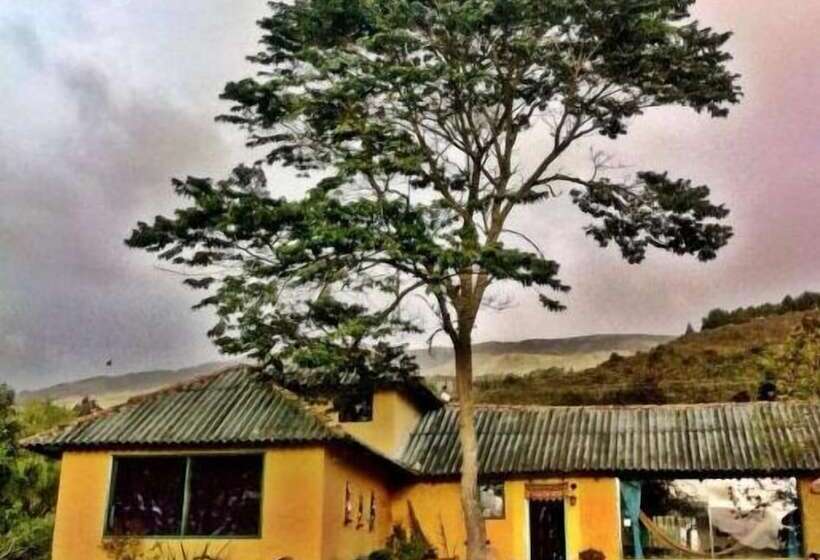 Bed & Breakfast La Juanita Finca Verde