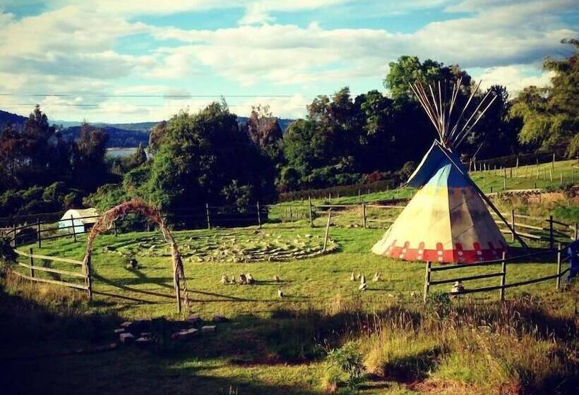 Bed & Breakfast La Juanita Finca Verde