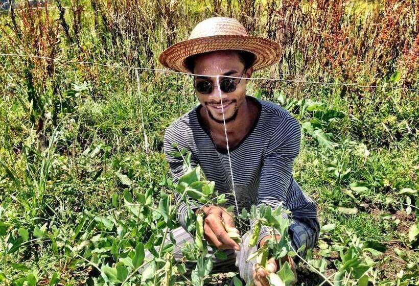 Bed & Breakfast La Juanita Finca Verde