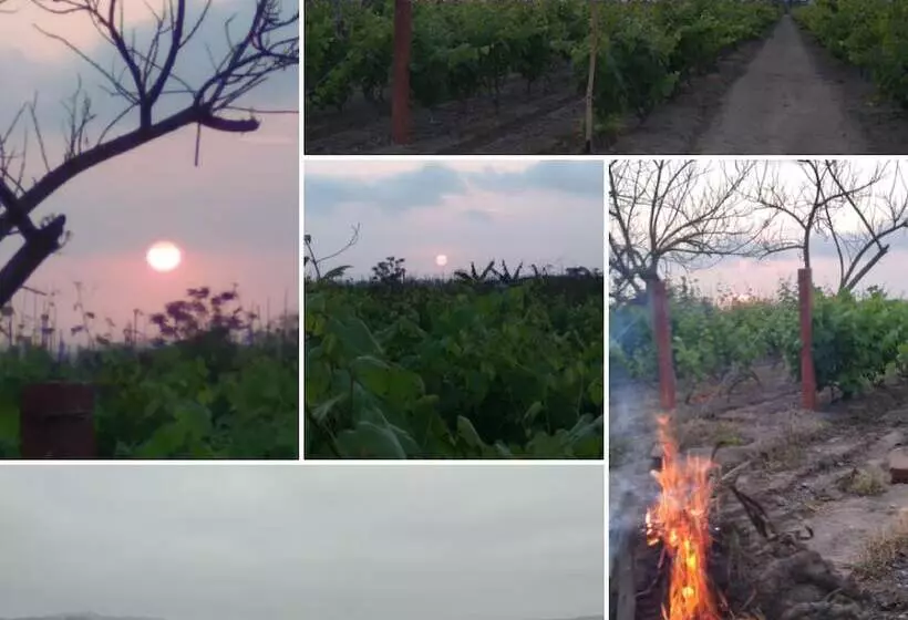 ベッドアンドブレックファースト La Viña De Oscar