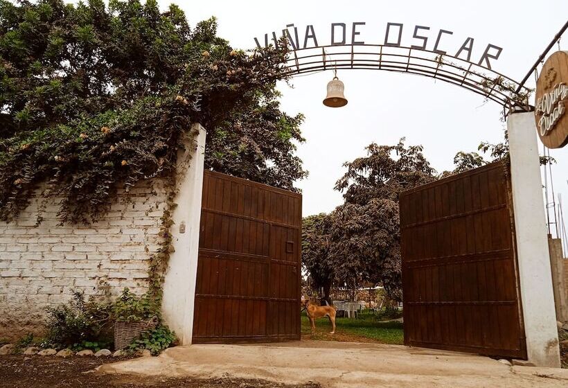 Bed and Breakfast La Viña De Oscar