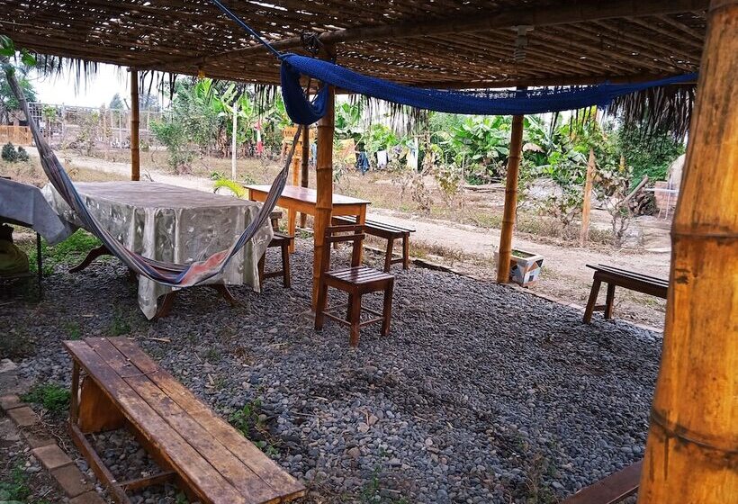 Bed and Breakfast La Viña De Oscar