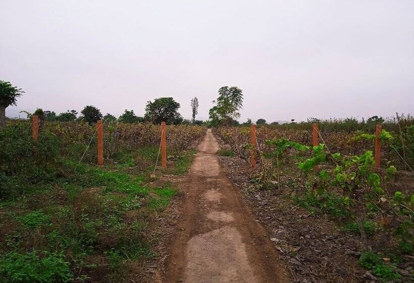 Bed and Breakfast La Viña De Oscar