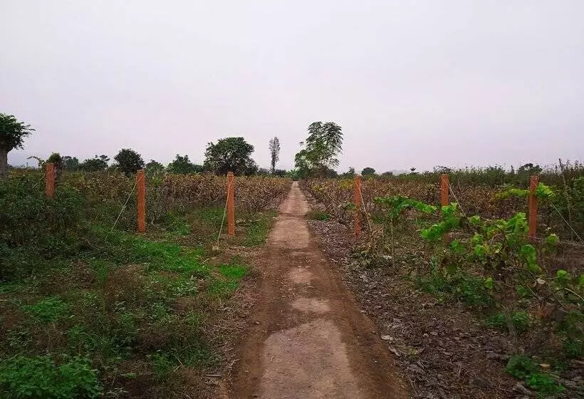 ベッドアンドブレックファースト La Viña De Oscar