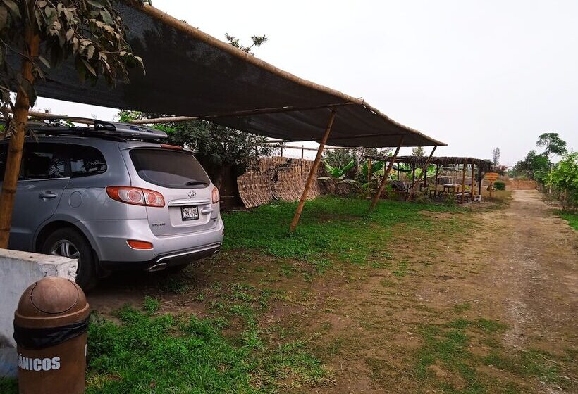 Bed and Breakfast La Viña De Oscar