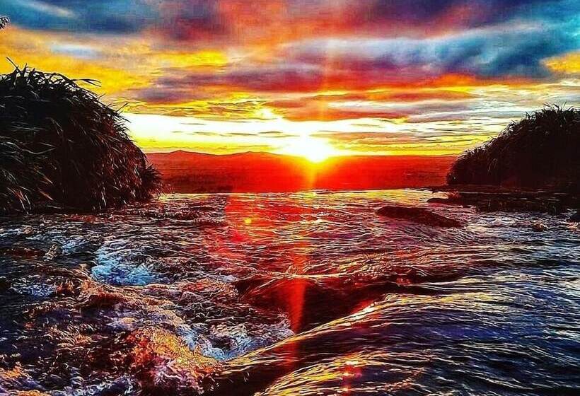 민박 The House With No Nails