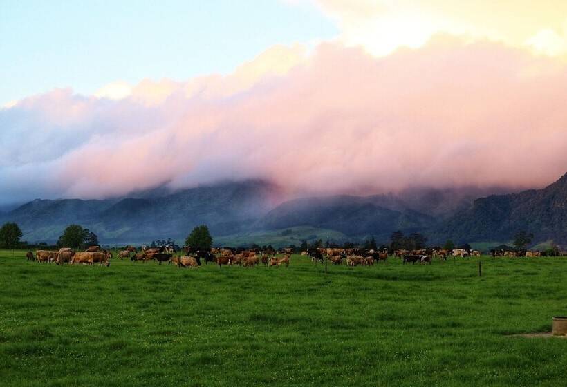 민박 The House With No Nails