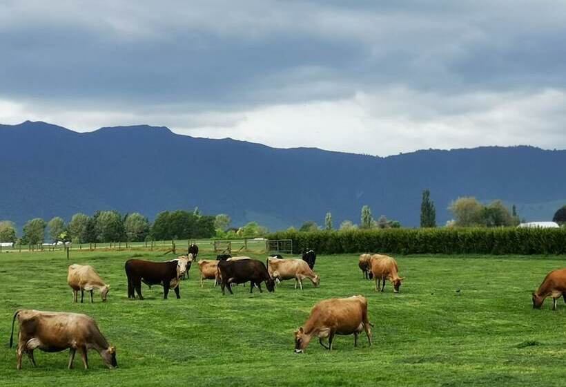 민박 The House With No Nails